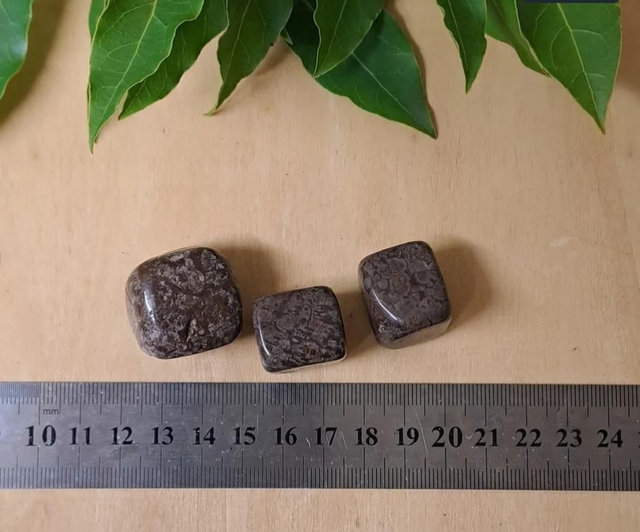 BROWN SNOWFLAKE OBSIDIAN TUMBLESTONE