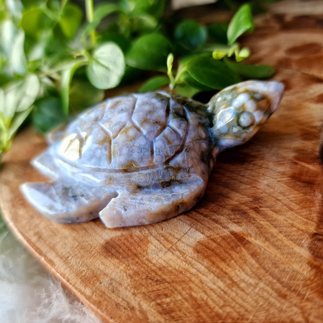 Ocean Jasper Turtle 
