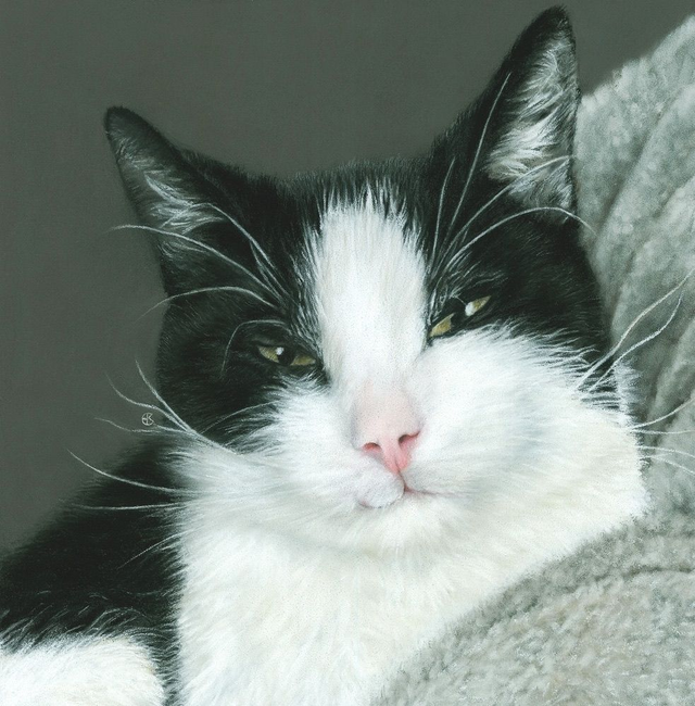 Greeting Card 'FINN'  (Konijnenparadijs)