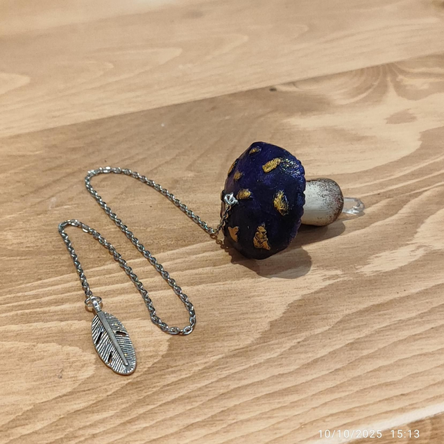 Champidule - Amanite Violette