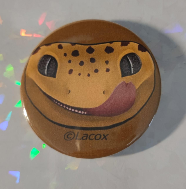 Badges épingle gecko