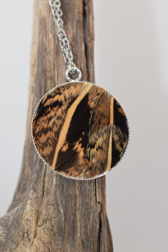 Collier vénéré femelle