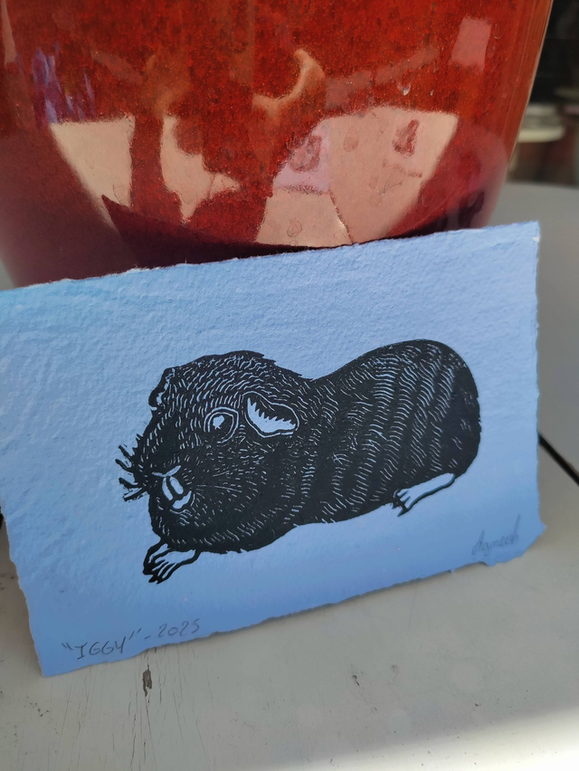 linogravure " Iggy" , cochon d'inde noir 10X15 cm