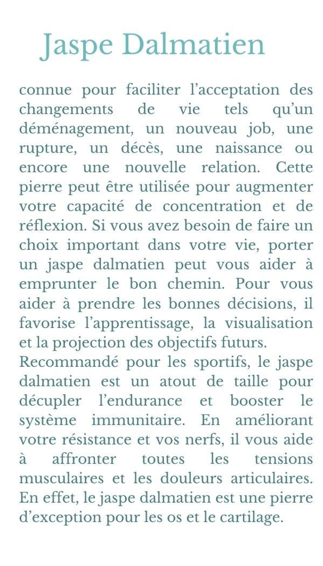 Bracelet en Jaspe Dalmatien - 8mm