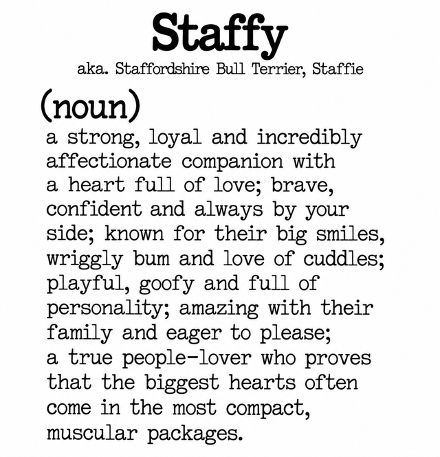 Dog Breed Definition Mug – Staffy | Funny Dog Lover Gift
