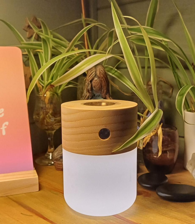 Smart Diffuser Lamp