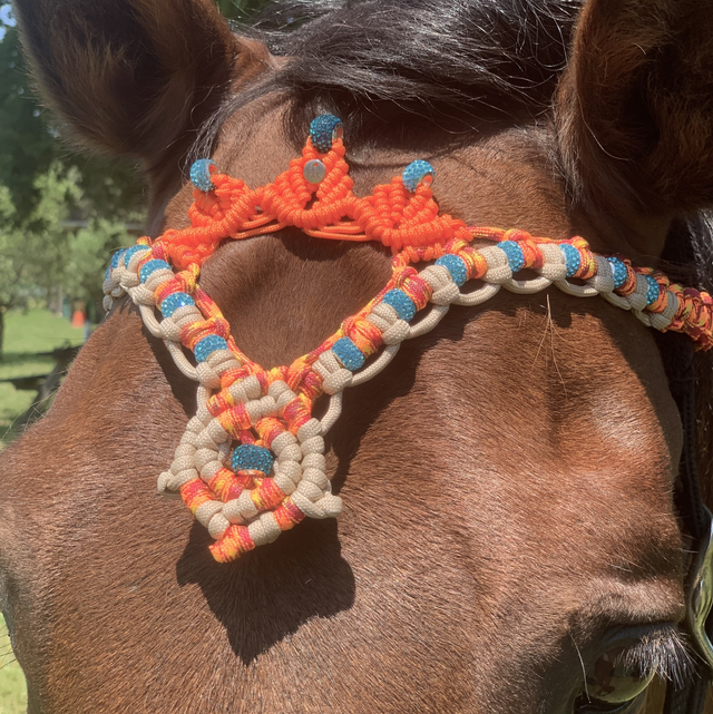 Headband PRESTIGE Edition NAVAJO taille poney/cob/full