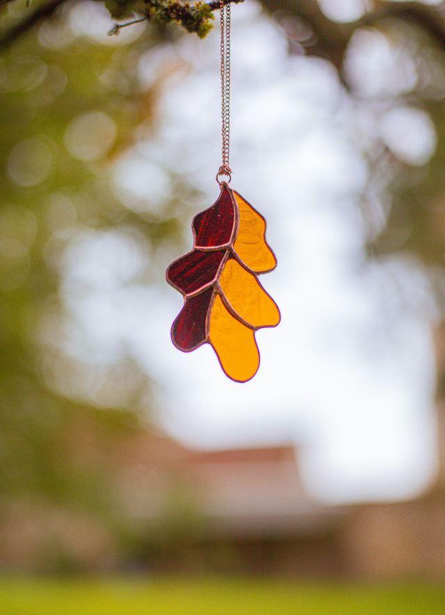 Feuille de chêne bicolore