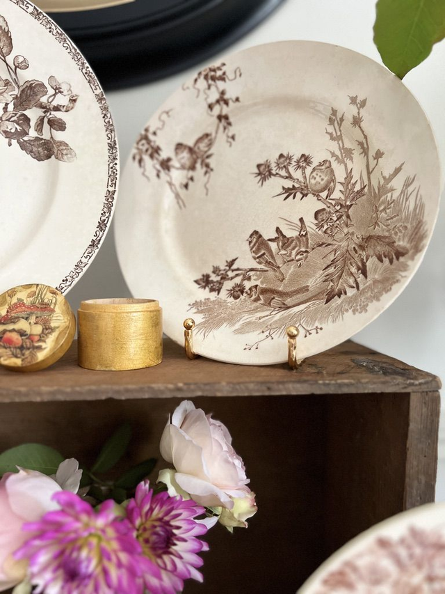 CHARDONNERET - Assiette plate de la manufacture Creil & Montereau - Terre de Fer