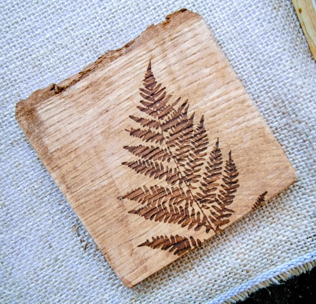 Wood Coaster - Fern