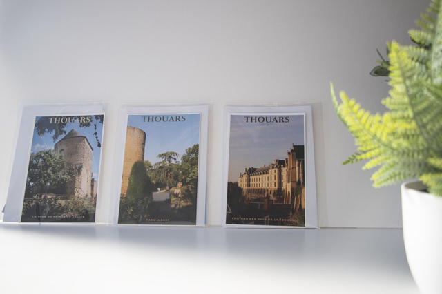 Cartes postales de Thouars