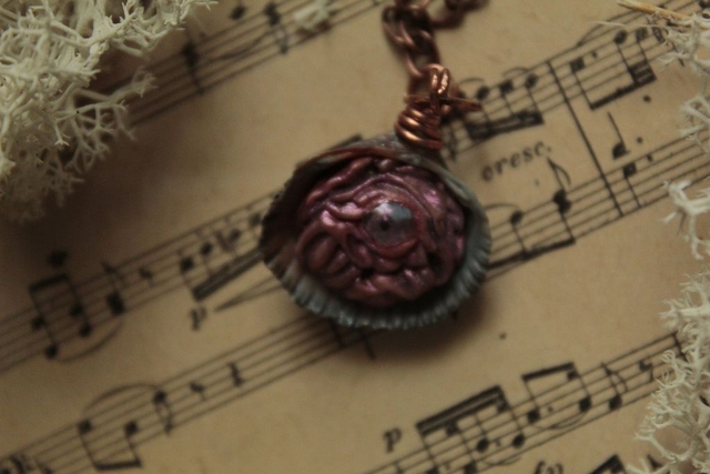 Coquillage Métamorphe- n°7