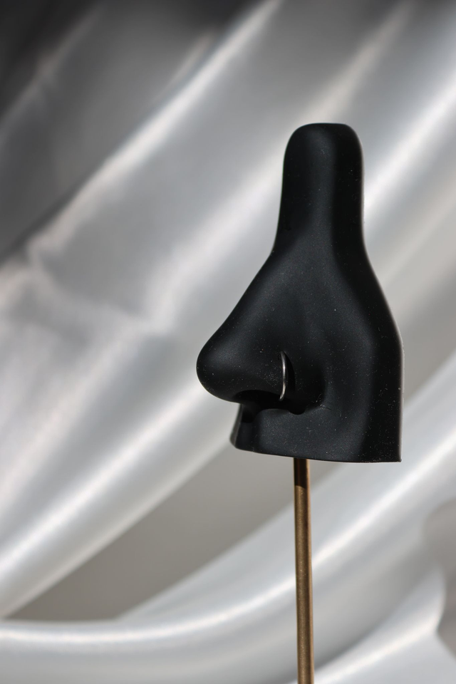 Faux anneau de nez Simple argent (0.8mm)