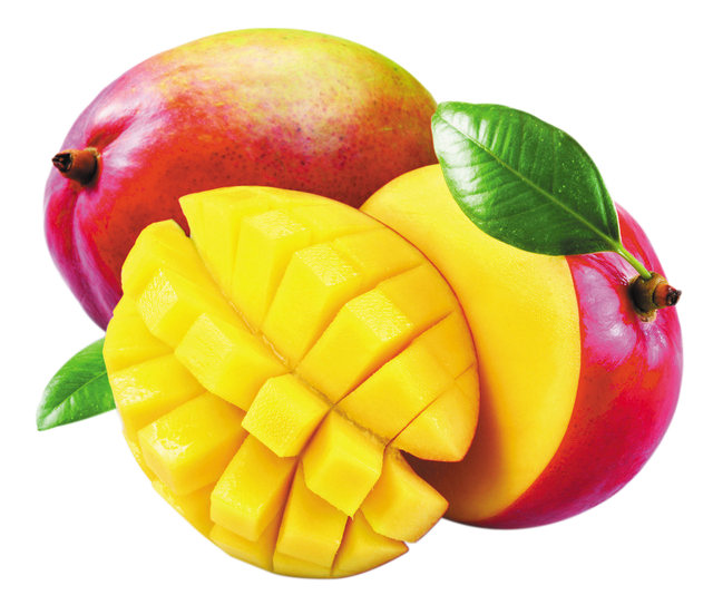 Sorbet Plein Fruit Mangue - barquette de 500ml de 300g