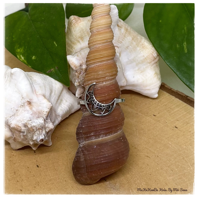 Bague croissant de lune - argenté et doré -