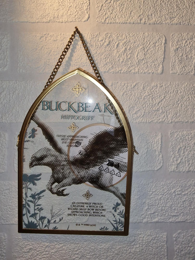 Ajouter aux tableaux

Plaque de l'Arche d'Herbologie Harry Potter de Warner Bros. - Buckbeak

