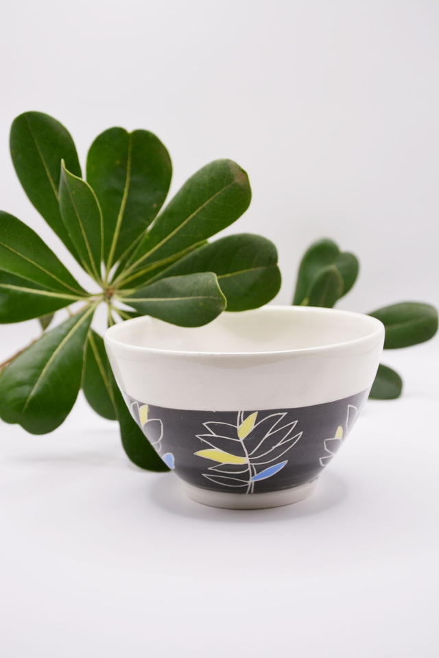 Bol végétal couleur