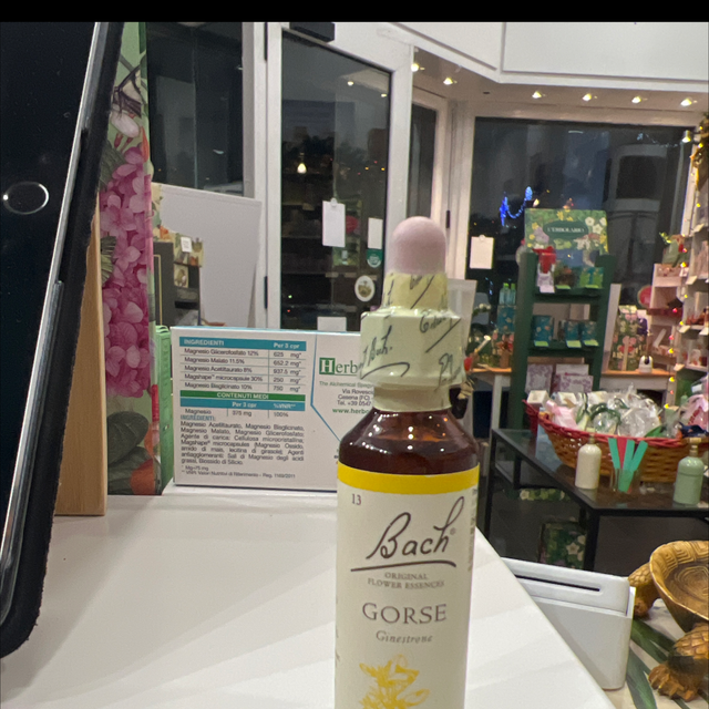 Fiori di bach 13 Gorse