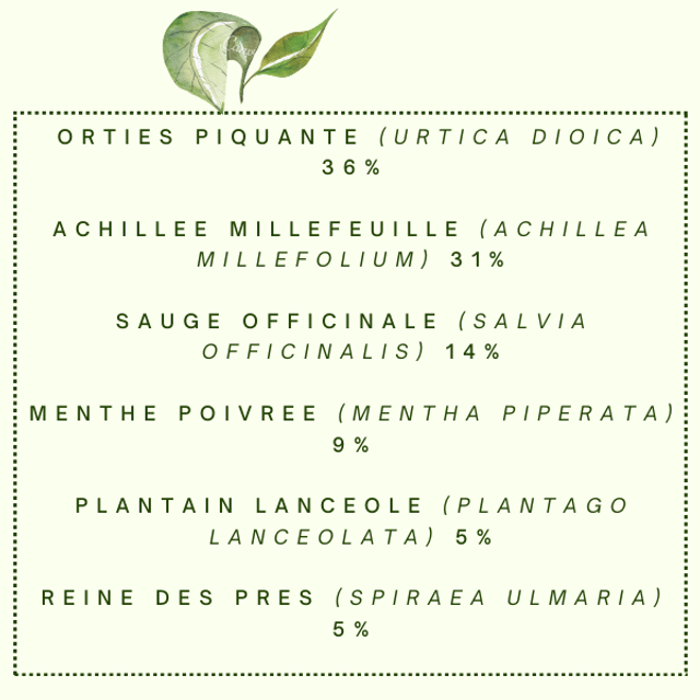 Tisane "Ma Menstru'Elle" Menstruations difficiles