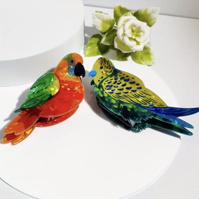 Bird clip - budgie and parrot