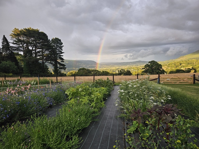 Brush Strokes & Blooms - Wednesday 20th August -Sunrise Edition - 6am -10am