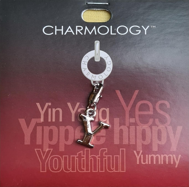 Charmology charm Y silver lobster claw clasp