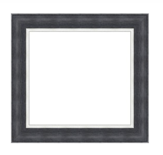 Pomeranian on the Toilet Framed Canvas