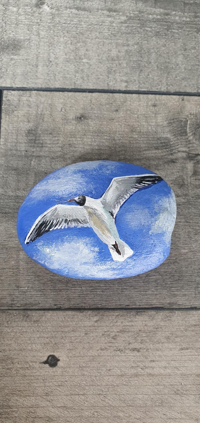 PAPER WEIGHT. Hand Painted Acrylic 'Flying Seagull' #3