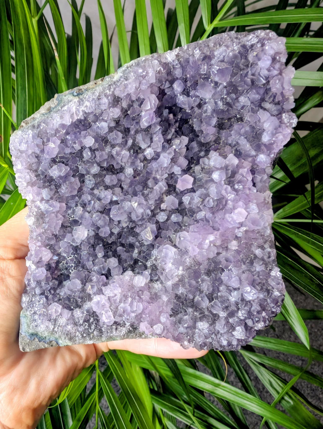 Amethyst Druze - size 11x10x5 cm
