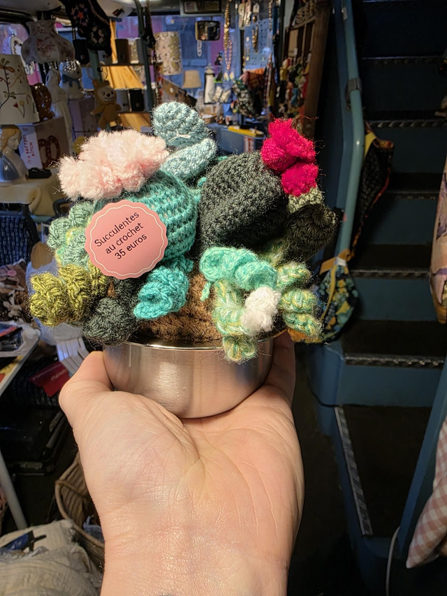 Pot de succulentes brodées 