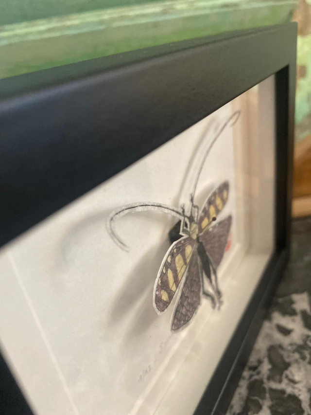 Sanaa regalis - Tirage 1/12