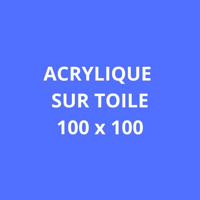 ACRYLIQUES SUR TOILE  - 100 x 100 cm