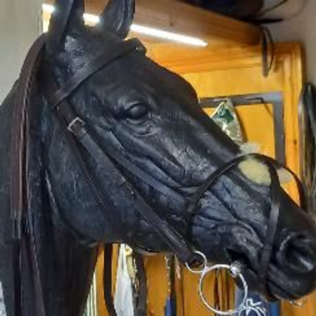Purcell Hunting Bridle with Grackle Noseband