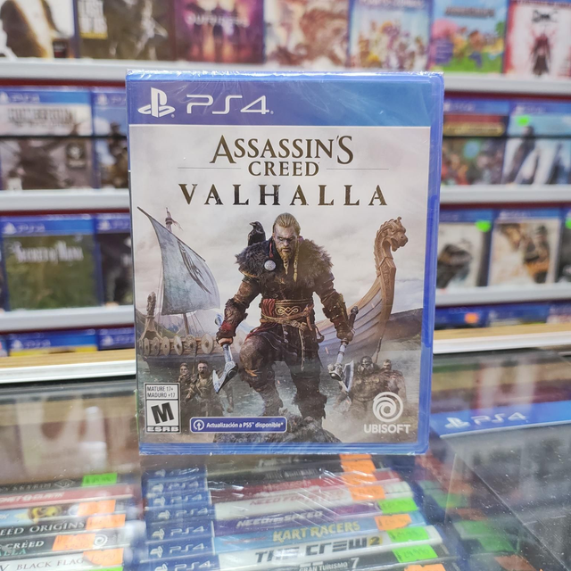 Assassins Creed Valhalla 