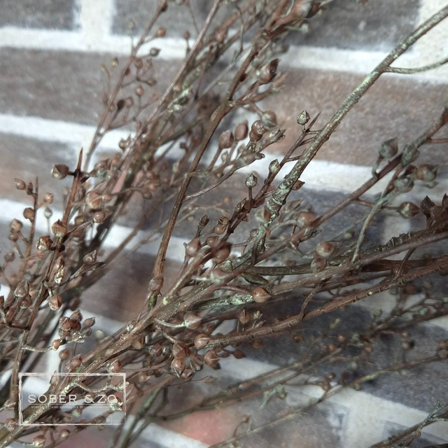 Kunsttak 3, kleine besjes, bruin