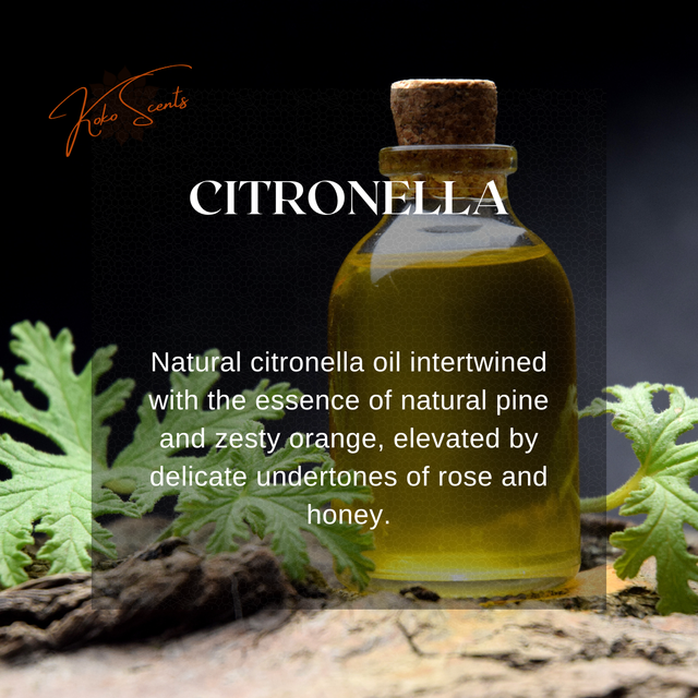 Citronella Wax Melt Shot Pot 