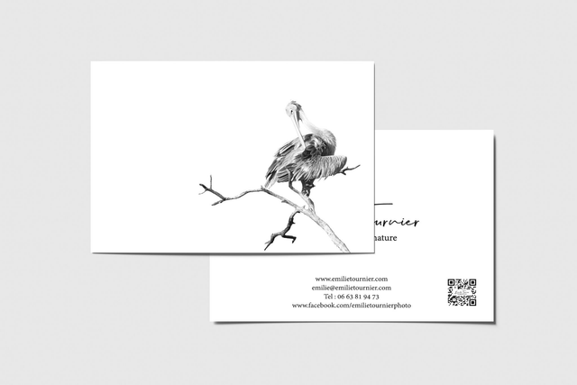 Carte postale "Inspecteur Plum' "