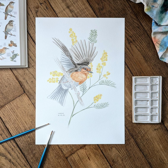 Aquarelle originale - Le Rougegorge familier - Les Messagers du printemps