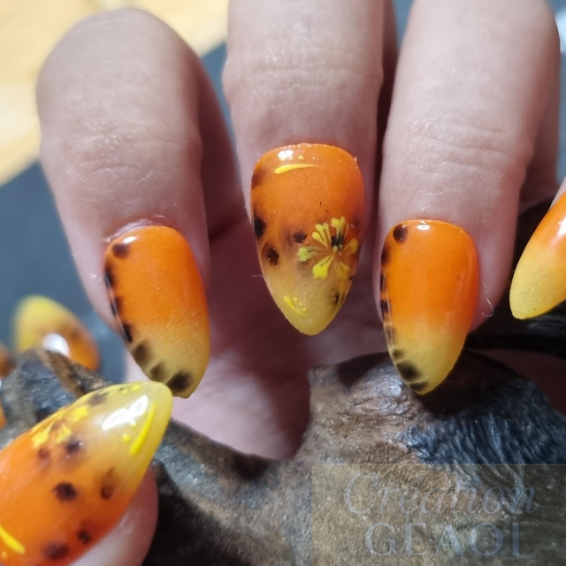 Buttercup sunset little amande xs( créer a la commande délai 7 jours)