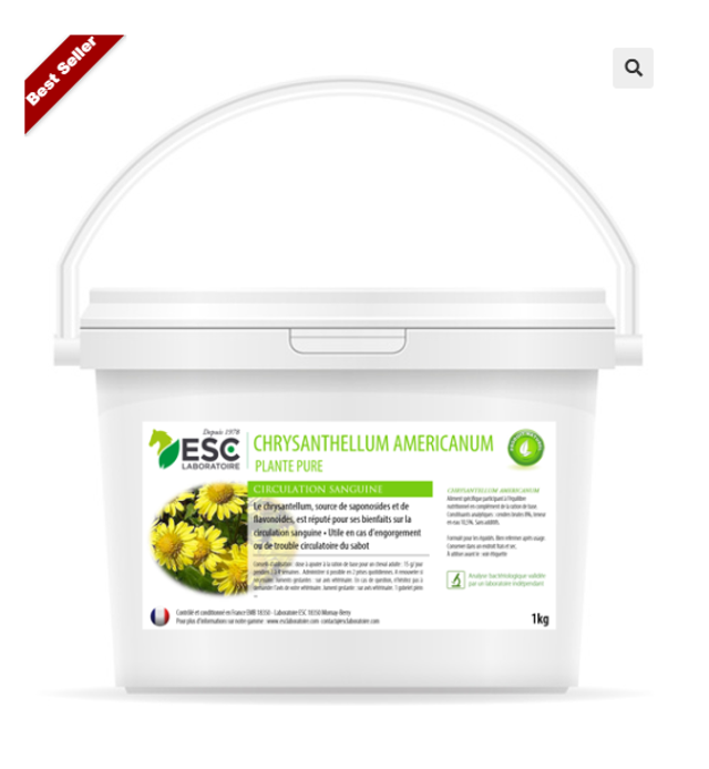 CHRYSANTELLUM AMERICANUM – Engorgement cheval – Plante pure
