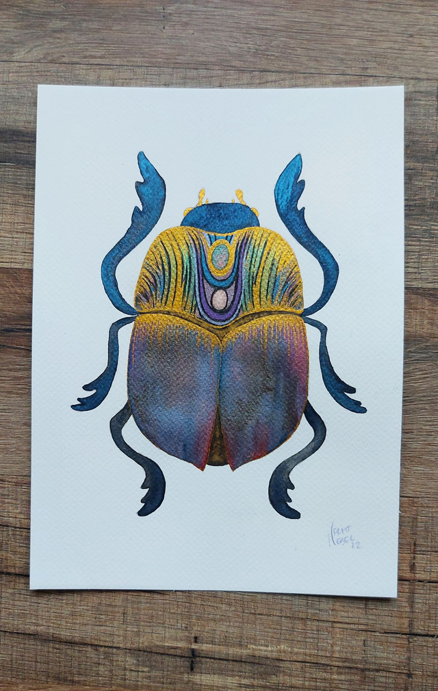 Illustration originale - Scarabée brillant