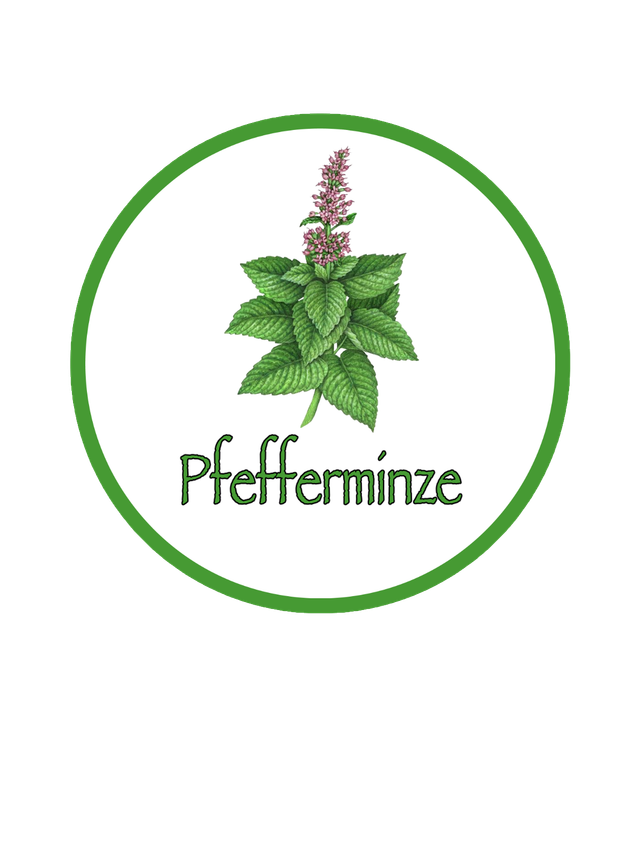 BIO Kräuterpellets Pfefferminze