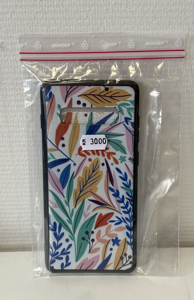 Mobilskal Samsung S10