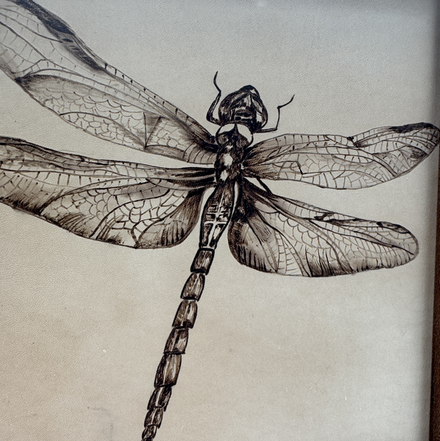 Sunday 5th July  Dragon Fly Inspired Pyrography Workshop at A Touch of Craft