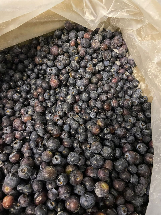 Myrtilles congelées 