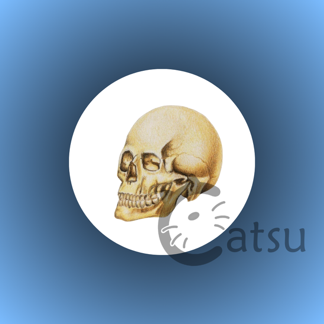 Badge à épingle 37 mm