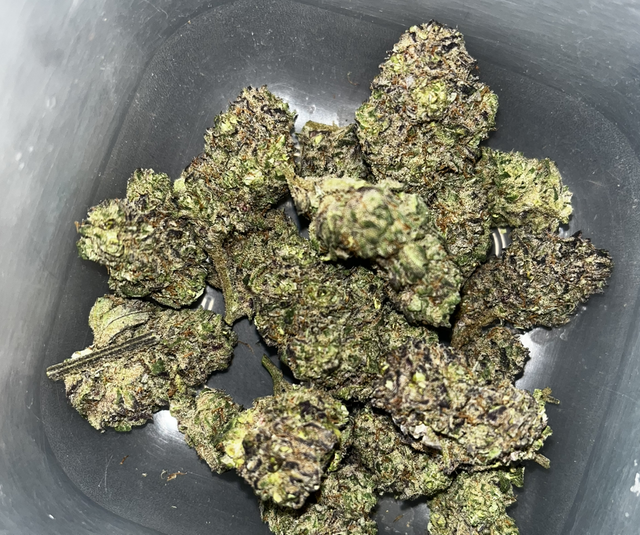 Portobello OG💥⚠️