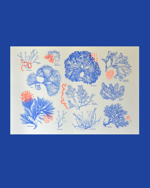 Affiche imprimée en risographie Neon seaweed