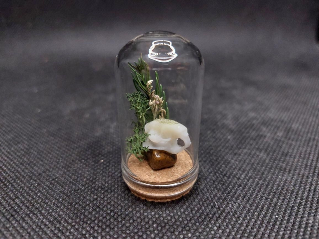 Mini-cloche crâne rongeur vert