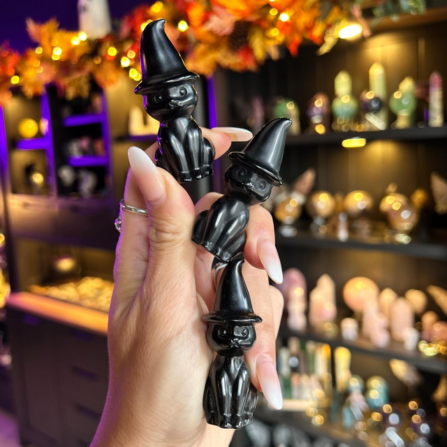 Obsidian Witch Cats